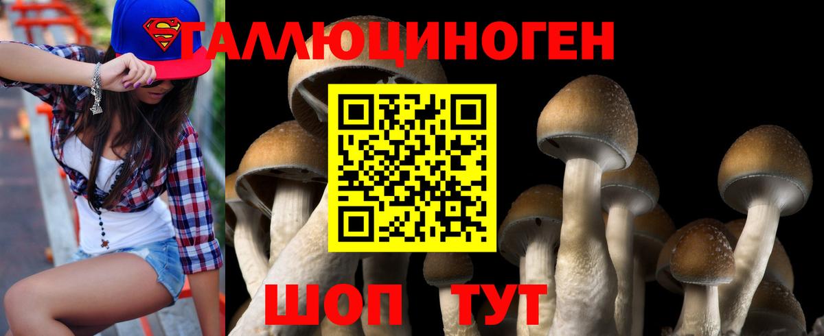 Галлюциногенные грибы Psilocybe Новоуральск