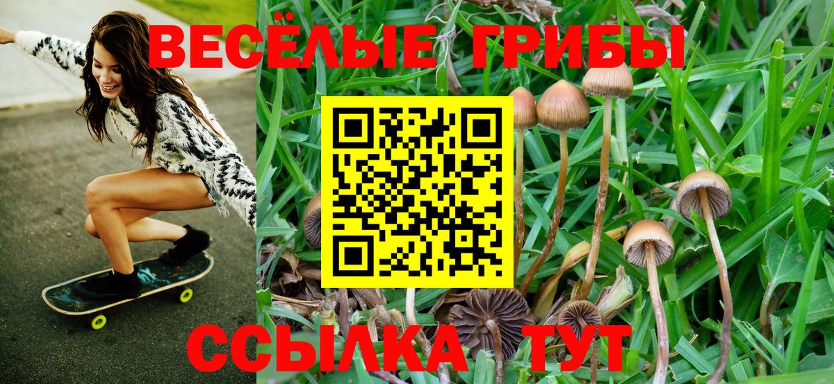 Псилоцибиновые грибы ЛСД  Вход с VPN  Новоуральск 
